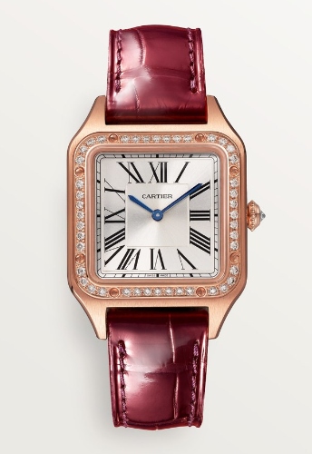 Santos Dumont from Cartier